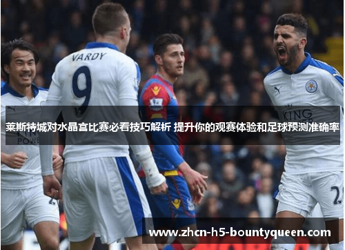 莱斯特城对水晶宫比赛必看技巧解析 提升你的观赛体验和足球预测准确率
